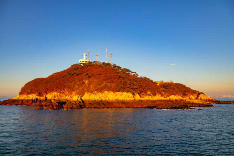 「どの船でも行けない」予約必須の秘境！仁川・八尾島（パルミド）観光ガイド完全版