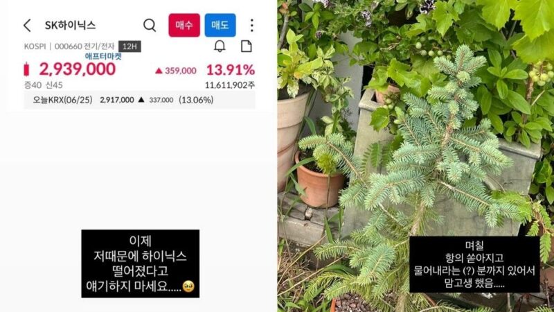 「1億損失」ミジャ、収益率-21％も…「株番組のオファー、キム・テヒョンが止めた」