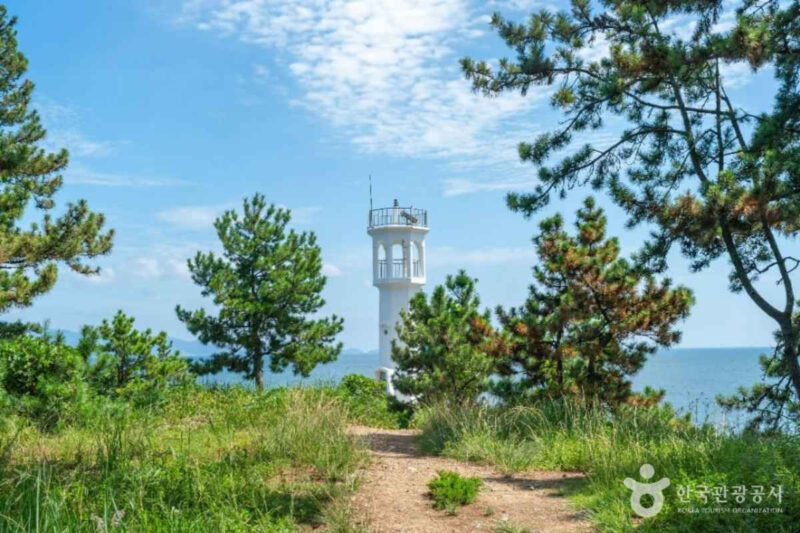 「地元民も驚く穴場」今、韓国でトレンドが激変している旅先とは?