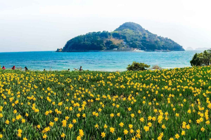 「怖すぎる」と話題？絶景に圧倒される、巨済島（コジェド）の必見スポットとは