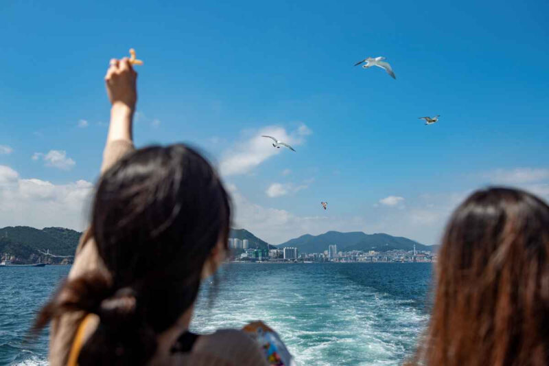 「ソウルにはない温かさ」外国人がソウルを離れ、釜山・済州に魅了される理由