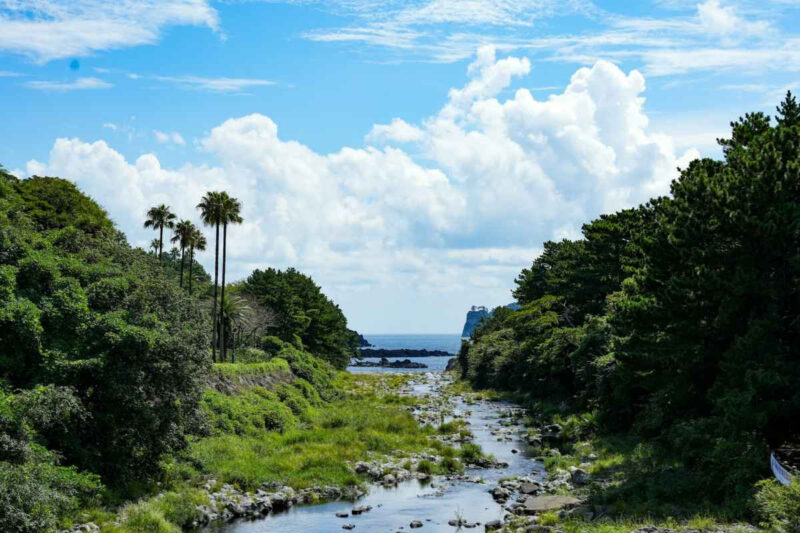 「ソウルにはない温かさ」外国人がソウルを離れ、釜山・済州に魅了される理由