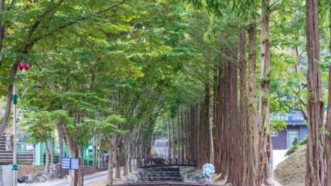 「空気良くて格安」予約開始即完売！話題の“奇想天外”な絶景スポットとは
