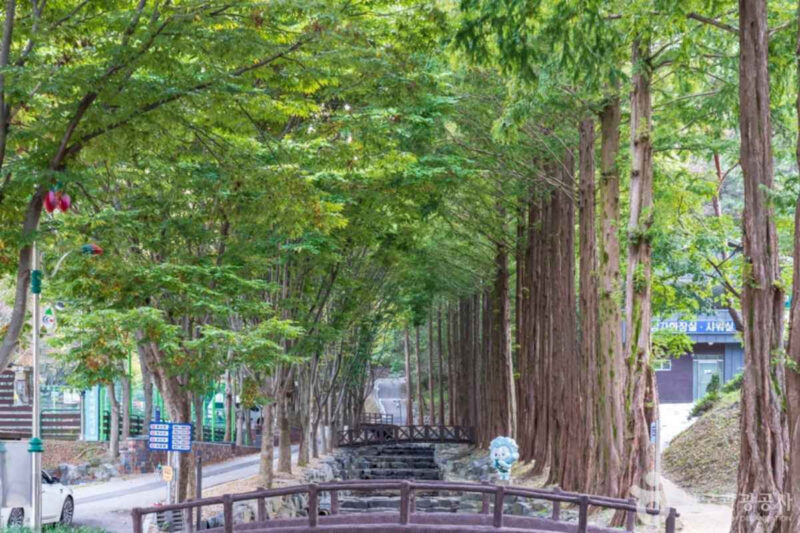 「空気良くて格安」予約開始即完売！話題の“奇想天外”な絶景スポットとは