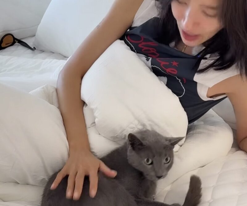 ソン・ダムビ、飼い猫の手放し疑惑を釈明から1日で動画で終息「犬よりおとなしい」
