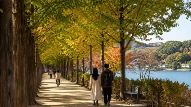 絶景に感動！天気の良い日に訪れたい、韓国の「最高すぎる」旅行スポット5選