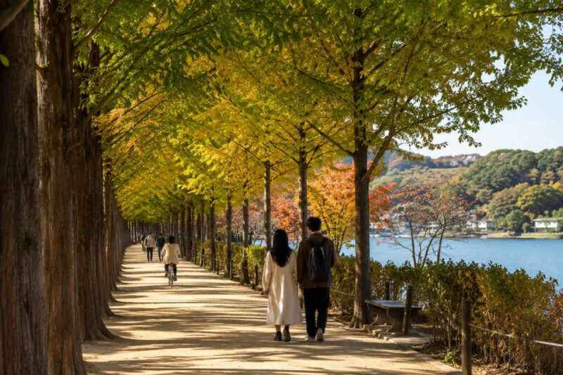絶景に感動!天気の良い日に訪れたい、韓国の「最高すぎる」旅行スポット5選