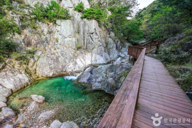 電気代も高騰…涼を求めて!首都圏から日帰りで行ける避暑地おすすめ5選