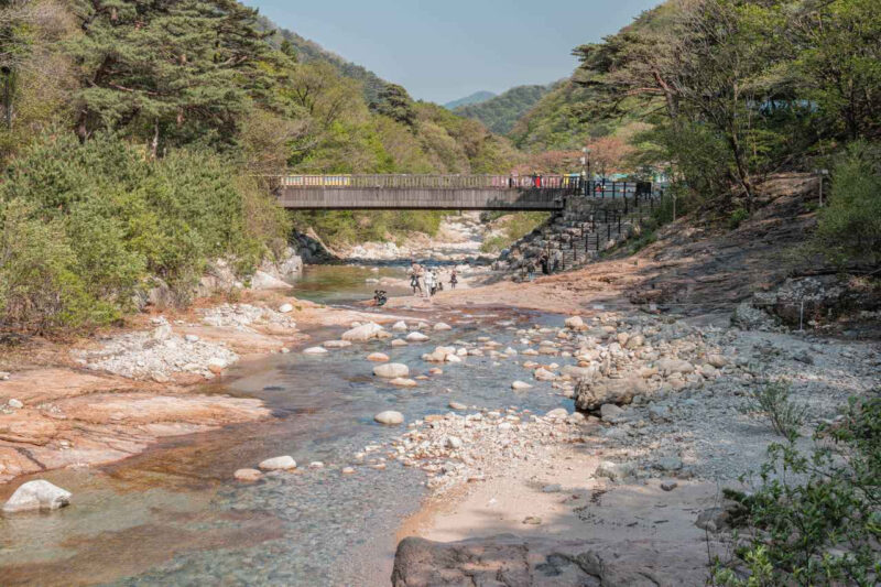 「実力不足は迷惑」夏山登山、軽装・準備不足に厳しい視線　SNSで議論白熱