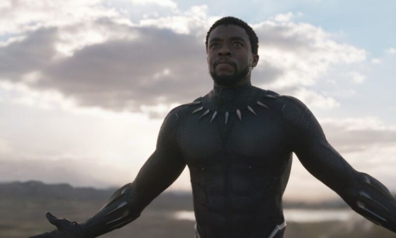 『ブラックパンサー』故チャドウィック・ボーズマン、妻と遺族の間で5.9億円の遺産相続トラブルが勃発
