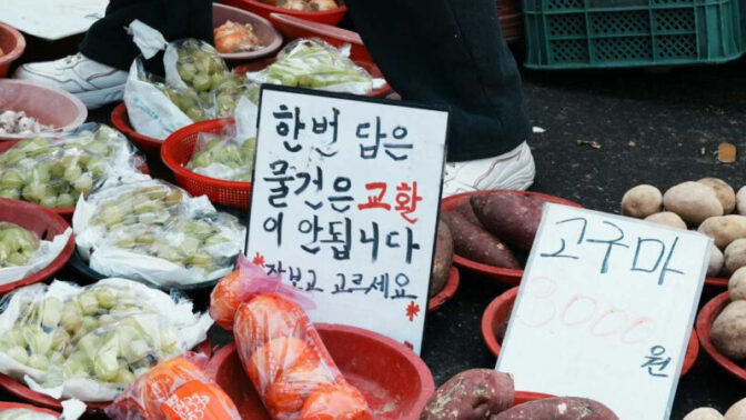 「食べるためならどこへでも！」再生数1000万回超え、食の聖地を巡る絶品グルメ旅