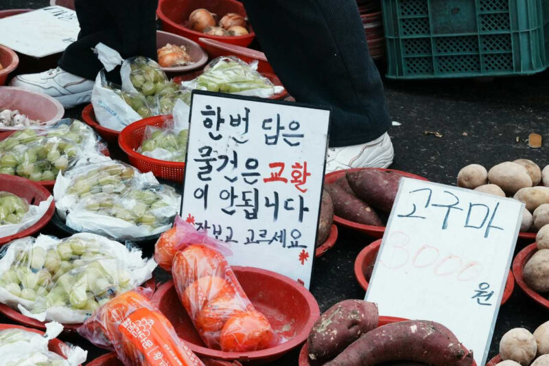 「食べるためならどこへでも!」再生数1000万回超え、食の聖地を巡る絶品グルメ旅