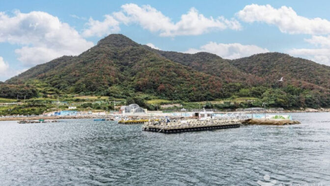 「統営港から船で40分」まるでヨーロッパ！韓国の絶景離島が話題
