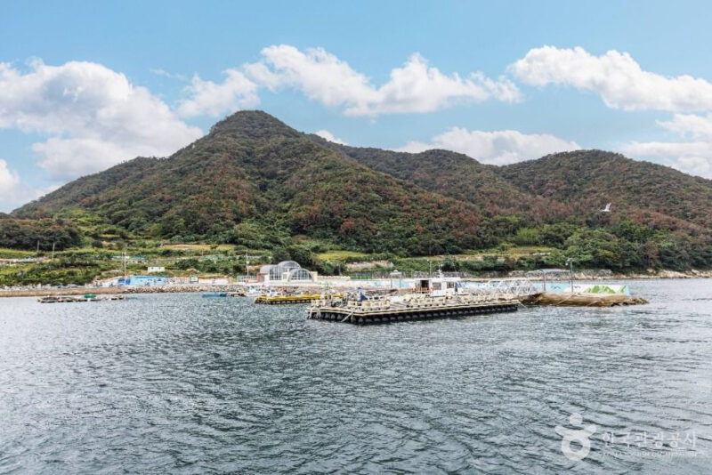 「統営港から船で40分」まるでヨーロッパ！韓国の絶景離島が話題