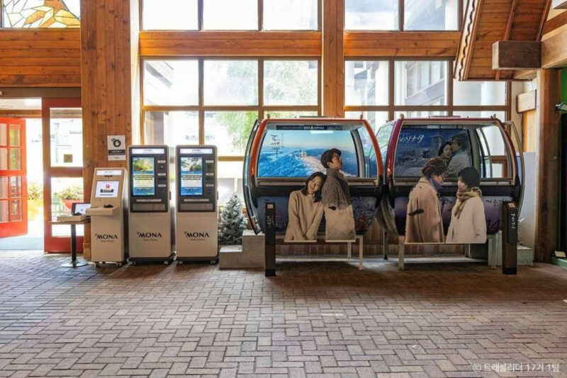 「なぜ涼しい？」夏でも快適！絶景の避暑地ハイキングコース4選