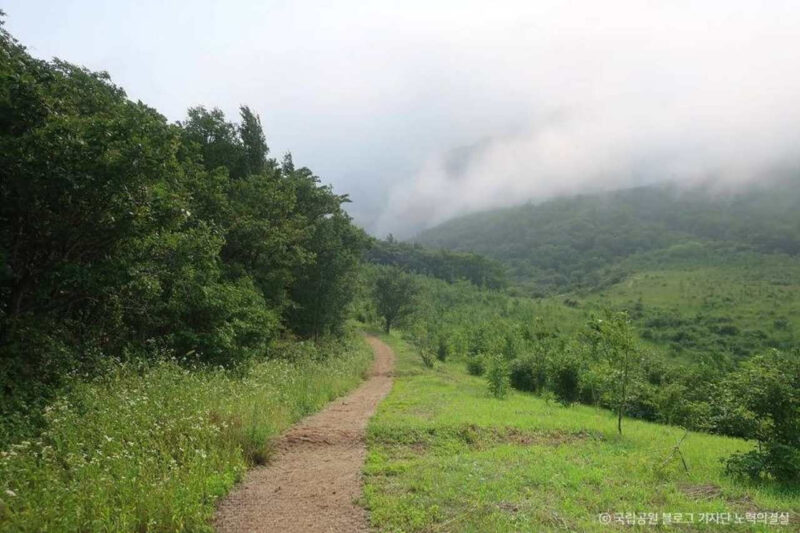 「なぜ涼しい？」夏でも快適！絶景の避暑地ハイキングコース4選