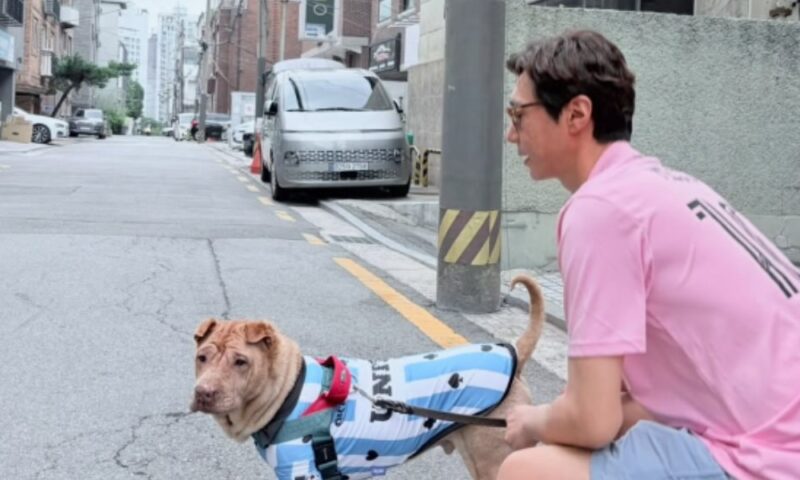 元Sechs Kiesコ・ジヨン、離婚＆親権公表から1日…「回復中」と愛犬との穏やかな日常を公開