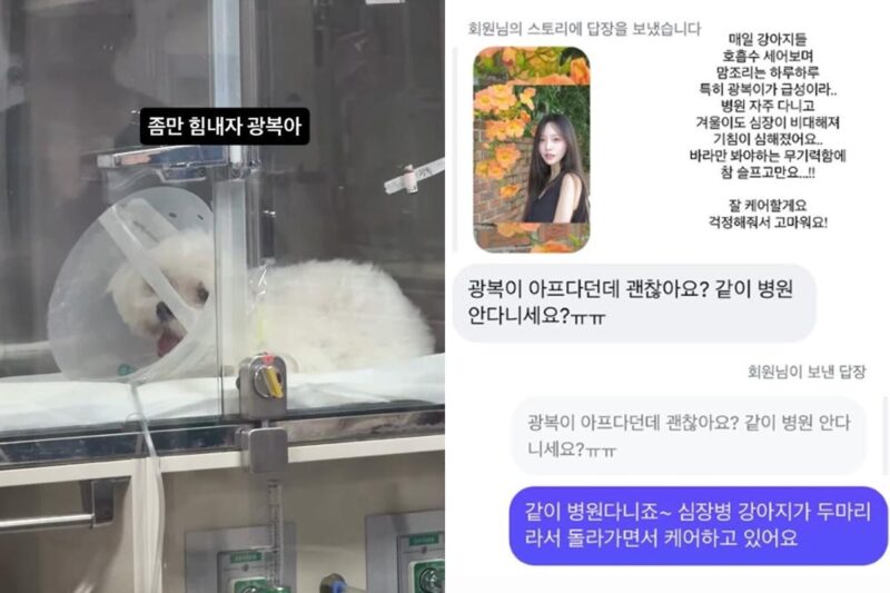 パク・ソングァン、愛犬の肺水腫の症状で病院へ…「心配でたまらない」