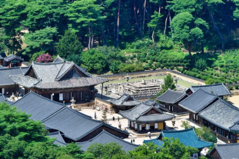 株アプリを消して森へ…マイナス30%の口座も忘れる、純度100%の心の修養地