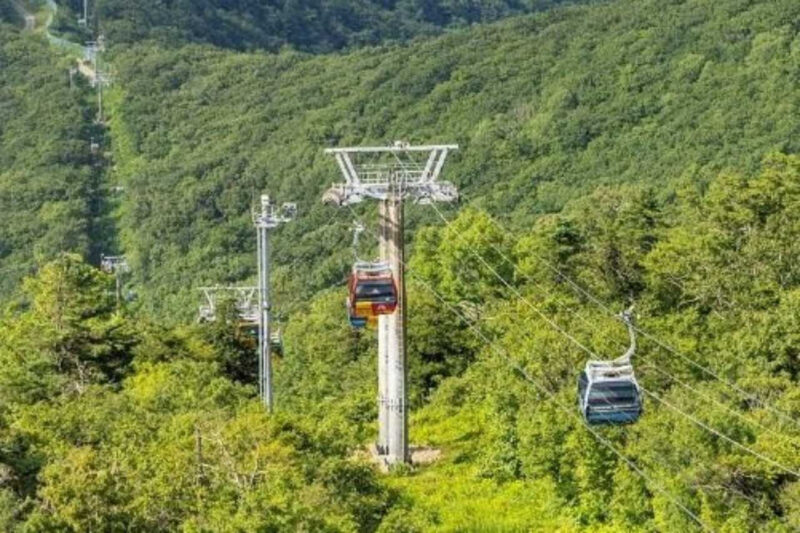 韓国の避暑地！息をのむ絶景が広がる「高原の旅先」おすすめスポット