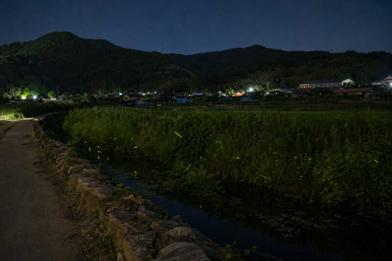 「オーロラも国内で見られる？」夏の夜だけ現れる、韓国の神秘的な絶景スポット4選