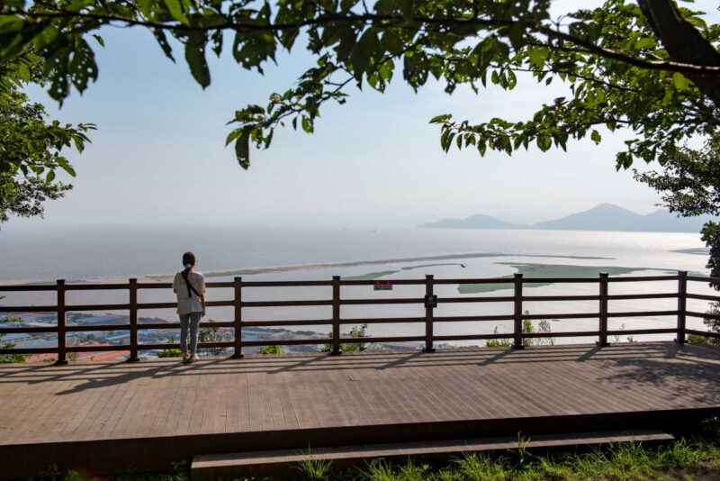 海雲台・広安里を抑えて急浮上？今注目の「西釜山」旅行スポットとは