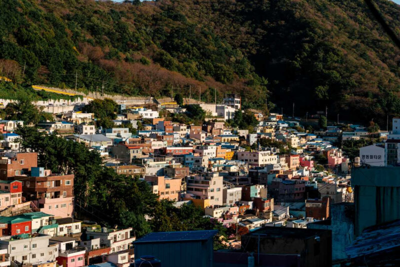 海雲台・広安里を抑えて急浮上？今注目の「西釜山」旅行スポットとは