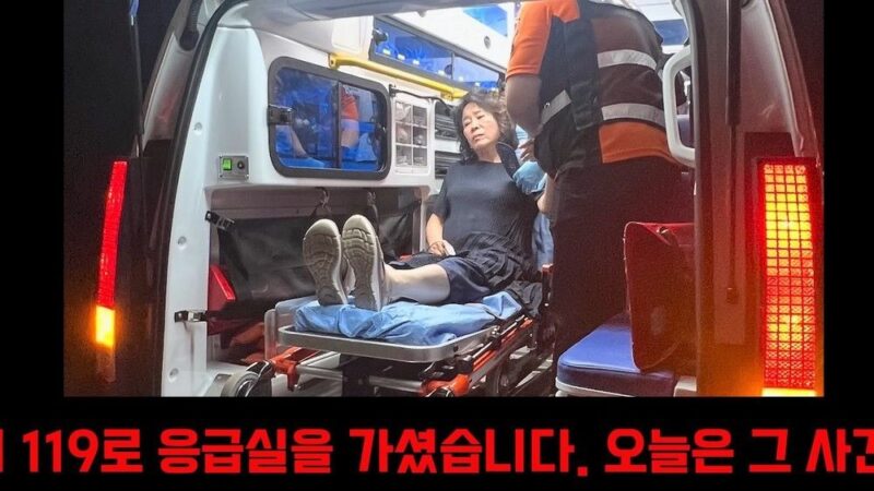 ミジャ、母チョン・ソンエ「転落事故→救急搬送」から1か月…「午前3時、死にそうです」また何が？