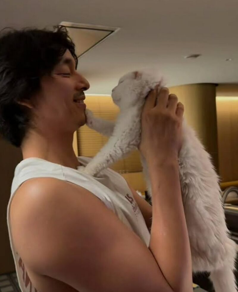 「お前が俺に似てたから良かったのに」…コン・ユ、可愛がっていた愛猫を見送り「複雑な思い」