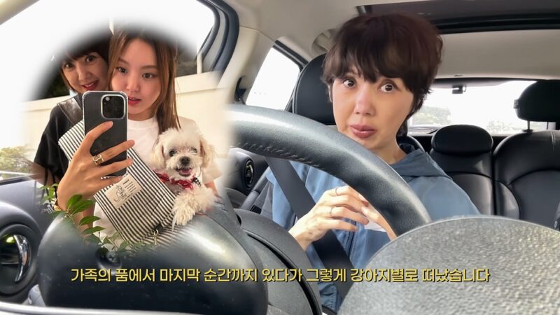 離婚のユ・ヘジョン、愛犬との別れ→相次ぐ悪材料に涙「悪いことばかり続く」