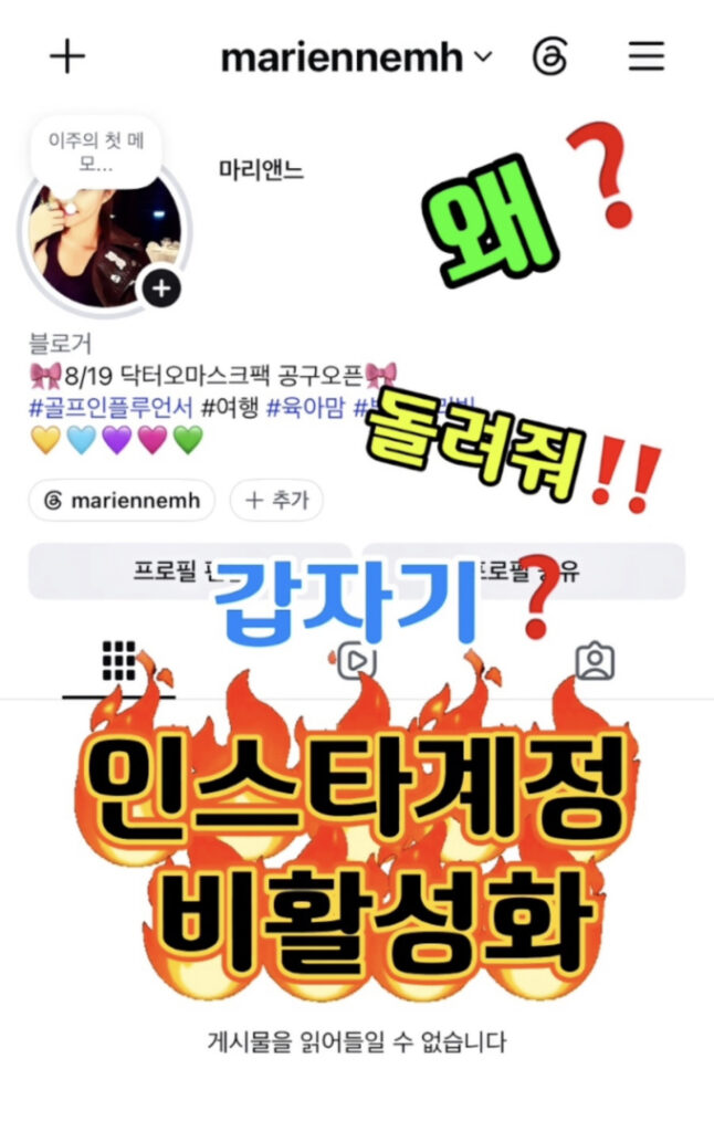 インフルエンサー「マリアンヌ」、インスタグラムが突然のアカウント停止に…「10年以上積み上げた大切な記録が」