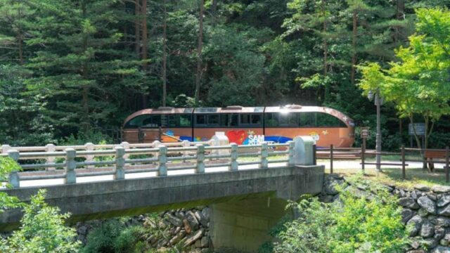 「5億年も隠されていた」2003年に発見された韓国の秘密の洞窟