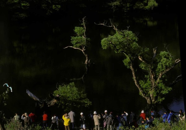 「300年もの間、水を湛え続ける」朝鮮時代に造られた神秘的な人工湖