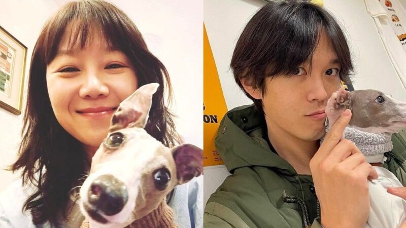 「ケビン・オー♥」コン・ヒョジン、結婚4年目でソウル離れ郊外へ…ヤンピョンの新居を公開