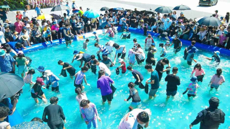 「今年は大エビ1kgの価格を談合します」新鮮さも価格も魅力的な忠清道の祭り
