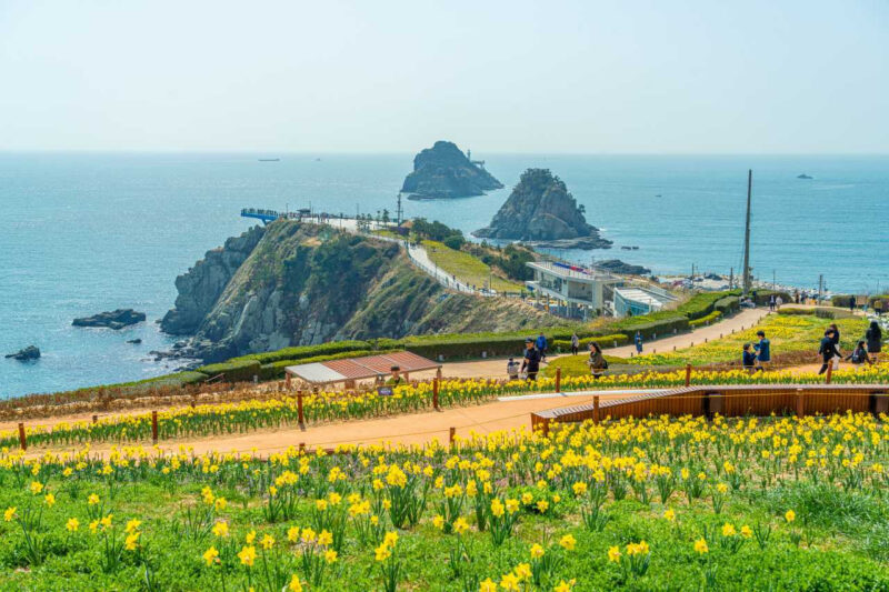 釜山旅行、1泊2日vs2泊3日どっちが正解?結論から言います
