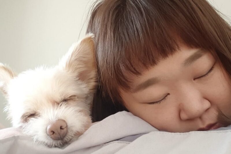 番組で愛犬とのエピソードを振り返るホン・ユナ