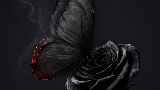 LIPSTICKERZ、新曲『Black Rose』本日配信開始！仮面の下に秘めた“美しくも危険な愛”を歌うエモーショナルなロックバラード