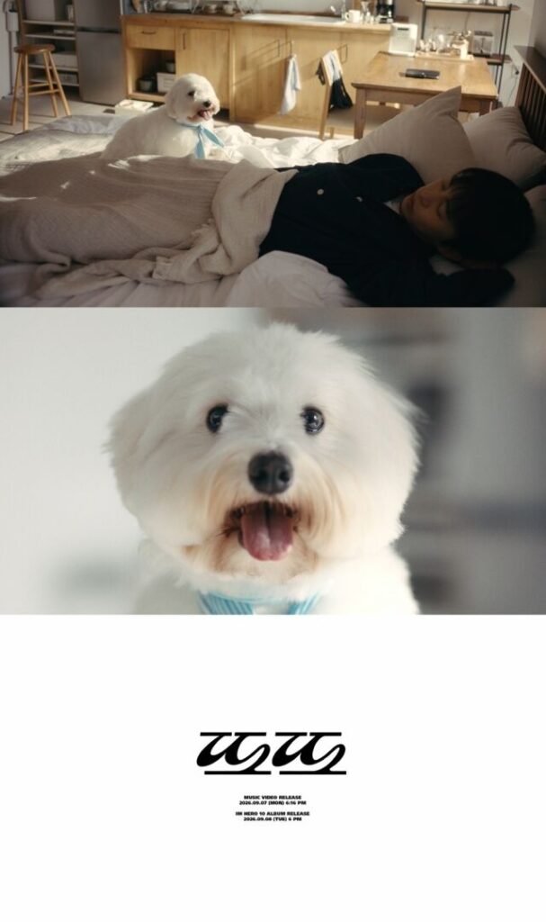イム・ヨンウン、新譜タイトル曲は自作曲「トト」！愛犬シウォル＆子役キム・ジュンもMVに登場