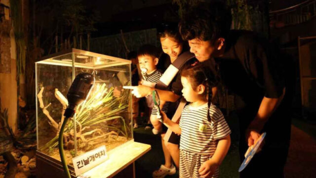 「週末返上でも行きたい！」家族全員が大満足の茂朱（ムジュ）夜間フェスティバル