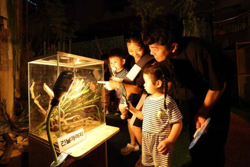 「週末返上でも行きたい！」家族全員が大満足の茂朱（ムジュ）夜間フェスティバル