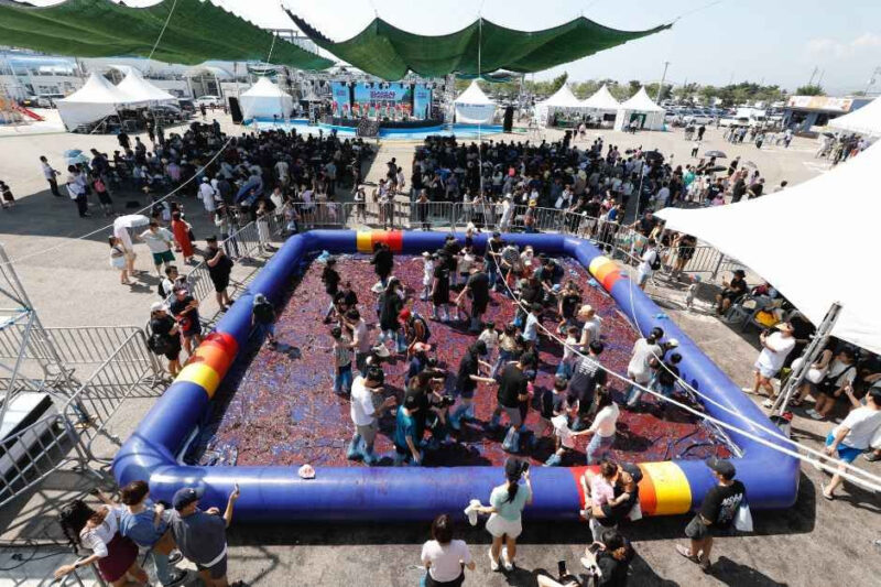 「ブドウを思い切り踏みつぶしに行こう!」2日間限定開催、2026華城松山ブドウ祭り