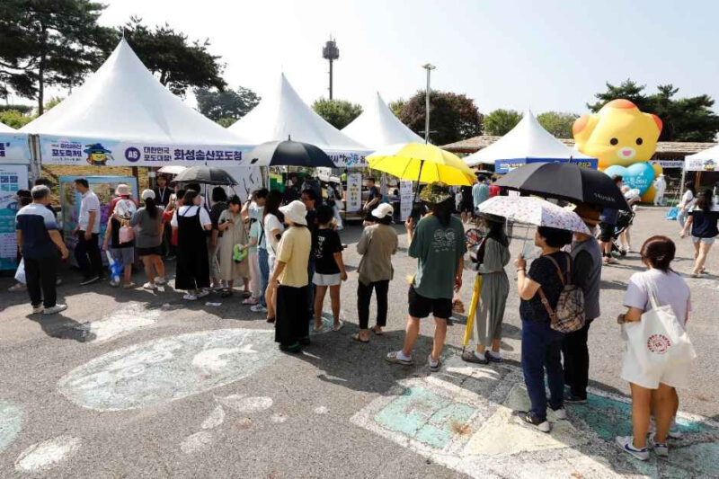 「ブドウを思い切り踏みつぶしに行こう!」2日間限定開催、2026華城松山ブドウ祭り