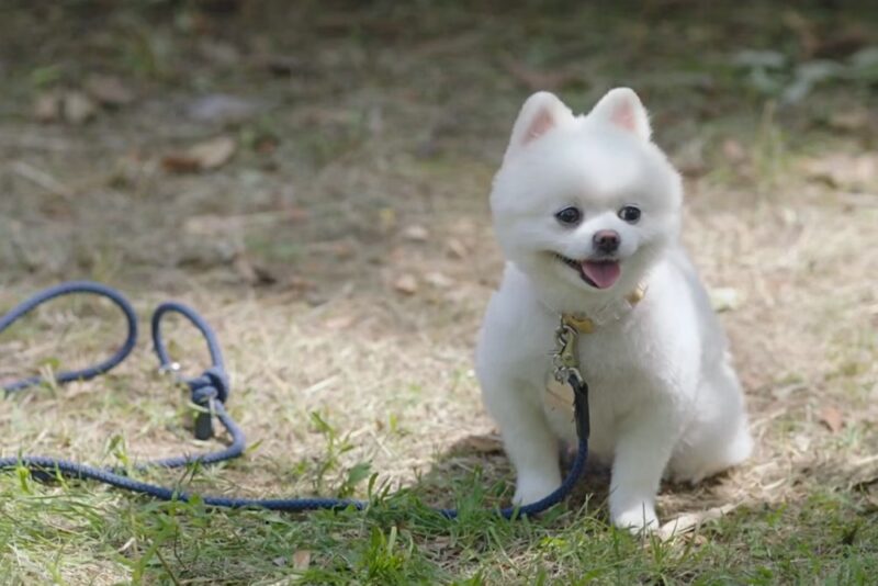最高視聴率16.6%を記録！予測不能な展開で大ヒット中の韓国ドラマ『愛が訪れる』、実力派歌手キム・ギョルが歌う切ない新OSTが公開へ