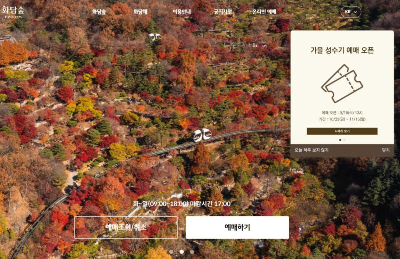「今サイトにアクセスしても無駄」和談の森の紅葉シーズン、予約前に知っておくべき3つのポイント