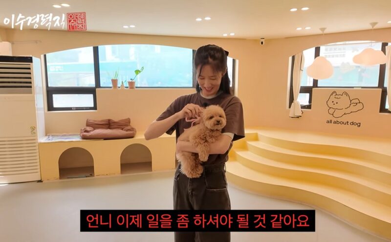 ‘훈련사 자격증 3급’ 이수경, 반려견 파양 의혹→직접 해명…”부모님이 맡아주신 것” 