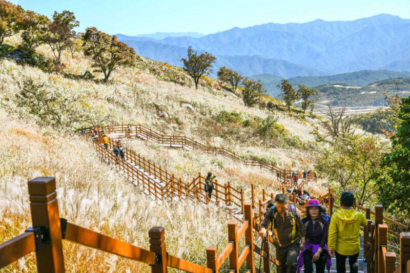 「エアコンを消して大自然へ！」心まで開放される、初秋の絶景登山コース4選