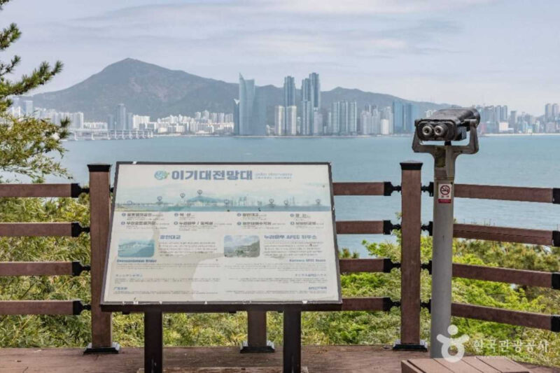 「外国人観光客に大人気」韓国人が意外と知らない?10月の穴場旅行先とは