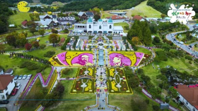 「昨年だけで61万人動員！」10月必見、2026年任実Nチーズ祭り完全ガイド