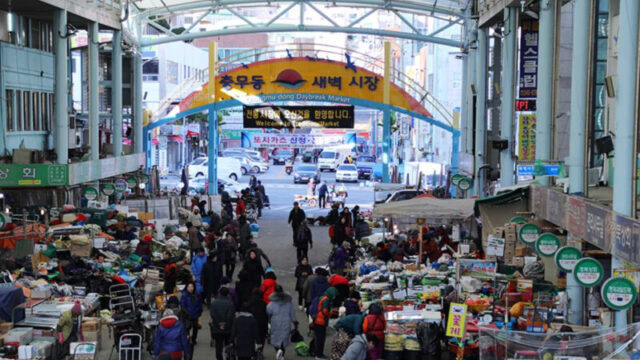 「国内水産物の30%がここから？」徒歩旅で魅了される、釜山・旧市街地の日帰り旅行